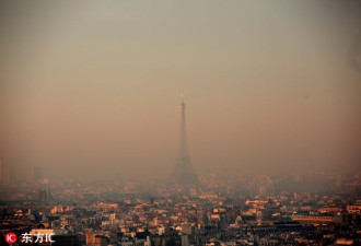 巴黎的这个冬天：抬头有雾霾 低头有鼠灾