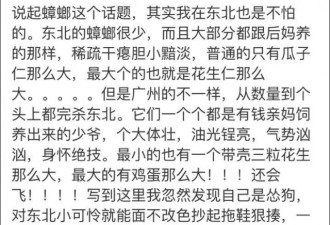蟑螂到底多大？ 东北大汉在南方受到了惊吓