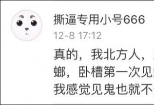 蟑螂到底多大？ 东北大汉在南方受到了惊吓