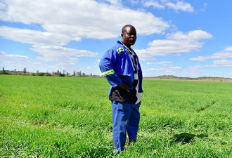 在津巴布韦种地的中国人:欧裔农场主回归是压力