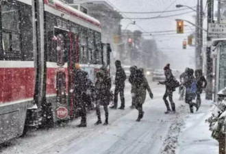 一场雪暴，最酷的加拿大人都炸出来了！