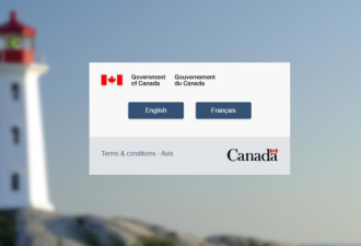 联邦政府网站Canada.ca改革 超时又超支
