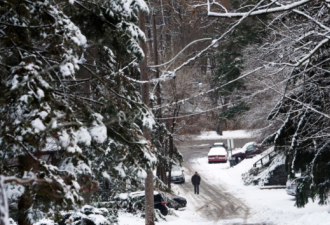 多伦多本周天天下雪 今年将会有白色圣诞！