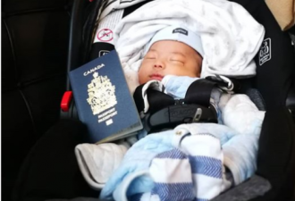 加拿大保守党提出取消新生儿自动入籍政策