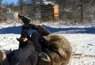 战斗的民族壮汉养熊当宠物 雪地里玩摔角