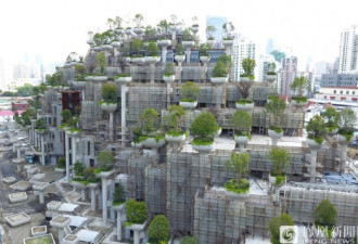 上海一建筑群绿植错落 似空中花园