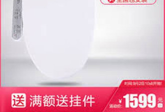 中国厕所革命 中日品牌争夺马桶盖市场