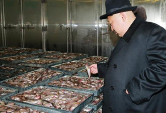 金正恩视察“金块”时 朝鲜渔民海上饿死