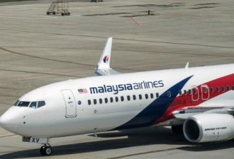 英专家称发现MH370:在柬埔寨密林 机身有缺口
