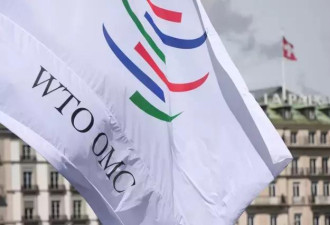 英媒社评:如果中国胜诉 美欧应接受WTO裁决