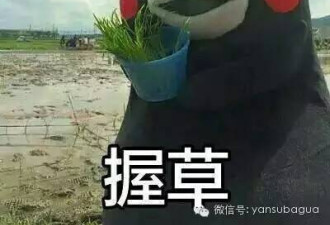 张艺谋新片《长城》：景甜拯救世界