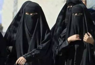 德国女部长访沙特拒戴头巾 沙特网民:这是侮辱!