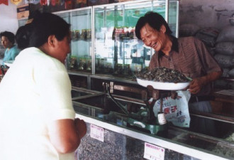 中国第一商贩年广久在1984:邓小平出手救傻子