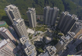 深圳一小区集体违建 1个方格值20万