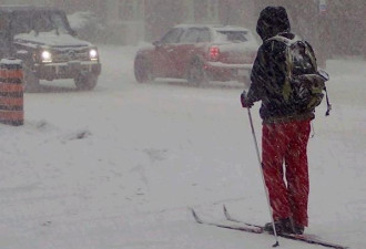 图：多伦多大雪极寒 实拍市民被虐成狗的生活
