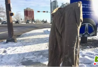 加拿大-20℃的街头，裤子都被冻得离家出走了