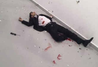 俄罗斯驻土耳其大使被枪杀 凶手究竟是什么人？