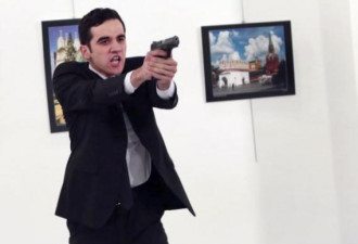 俄罗斯驻土耳其大使被枪杀  各国回应