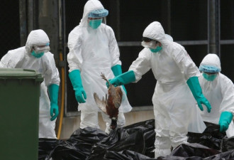 H7N9型禽流感来袭 安徽发现5例2人死亡