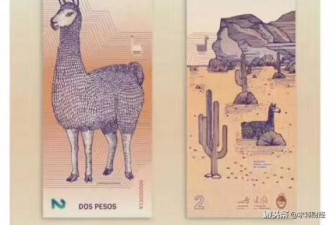 阿根廷新钞上“草泥马”和“戈壁”其实是表亲