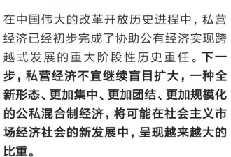 吴小平：私营经济已完成协助任务 应逐渐离场
