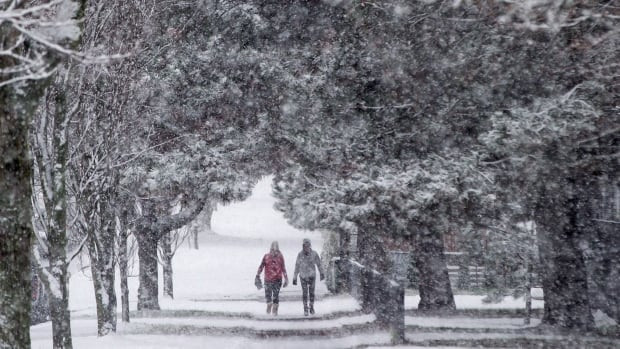 Pedestrians are framed by a canopy of trees as snow falls in Vancouver. Parts of Canada will have a white Christmas, according to a Weather Network meteorologist.