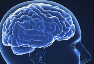 美国加州大学研究揭示脑癌细胞长寿秘密