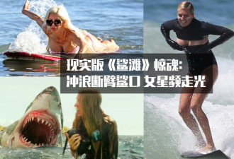 现实版“鲨滩”惊魂:冲浪鲨口断臂 女星频走光