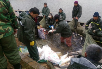 武汉高校捕鱼两万斤 学生免费吃红烧鱼两天