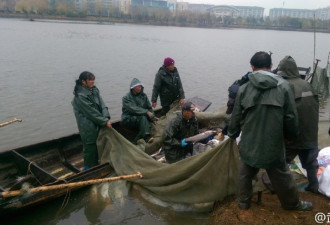 武汉高校捕鱼两万斤 学生免费吃红烧鱼两天