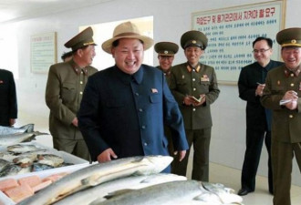 吃了金正恩送的鱼 朝鲜士兵集体腹泻