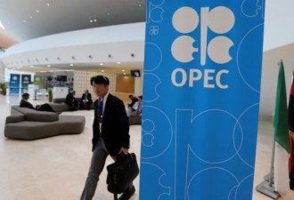 石油战美国成最大赢家 OPEC给他人作嫁衣？