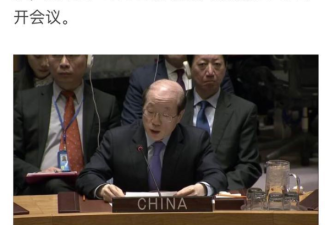 媒体：中国在联合国“又一次反对无效”？