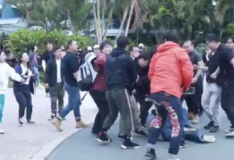 中国剧组人员在澳洲殴打粉丝 多人被抓