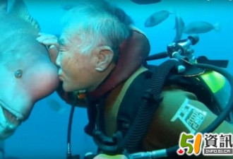 日本一男子与大鱼保持联系25年 用暗号呼叫