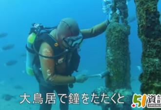 日本一男子与大鱼保持联系25年 用暗号呼叫