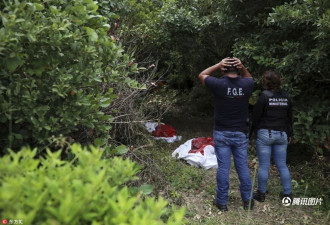 墨西哥又现毒枭屠杀乱葬岗：166颗头骨