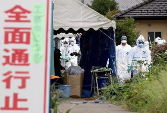日本26年首次发生猪瘟疫情 扑杀610头猪