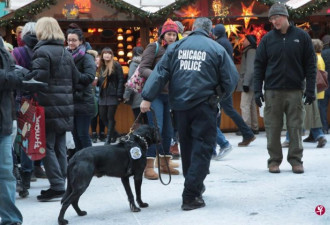 芝加哥“血腥”圣诞周末 12人被枪杀40多人伤