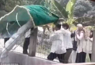 印度清洗尸体仪式上出意外:风吹来尸体掉进池塘