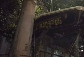 女子坐过站 抢方向盘 导致公交车撞电线杆