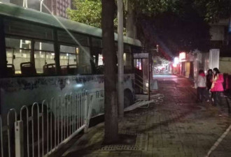 女子坐过站 抢方向盘 导致公交车撞电线杆