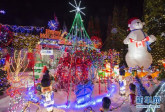 超美！加拿大多伦多居民点亮彩灯迎圣诞(组图)