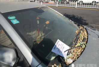 北京街头现最牛&quot;神停车&quot;!两树之间车距离约6cm