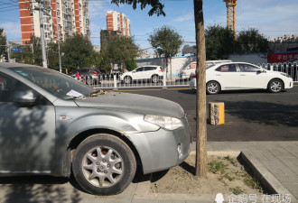 北京街头现最牛&quot;神停车&quot;!两树之间车距离约6cm