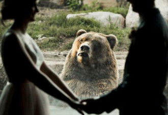 新人动物园办婚礼，熊的表情一言难尽