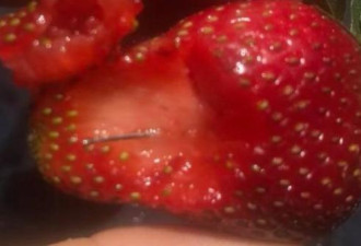澳洲连发13起草莓藏针事件 官方建议:切碎再吃