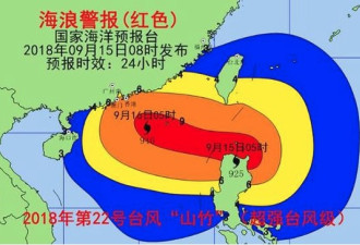 男子专程前往飓风登陆地 举国旗赤裸迎风站立