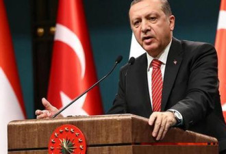 有图有视频!土耳其总统:已掌握美军支持IS证据