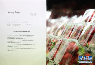 澳水果藏针风波持续 政府多措并举挽救草莓产业